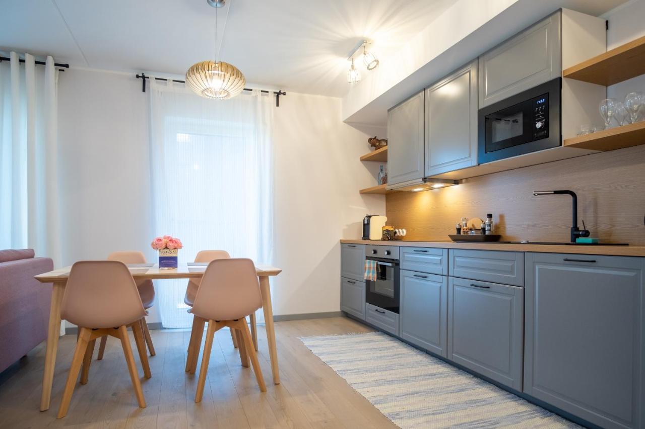 Dream Stay - Brand New Apartment With Balcony & Free Parking 塔林 外观 照片