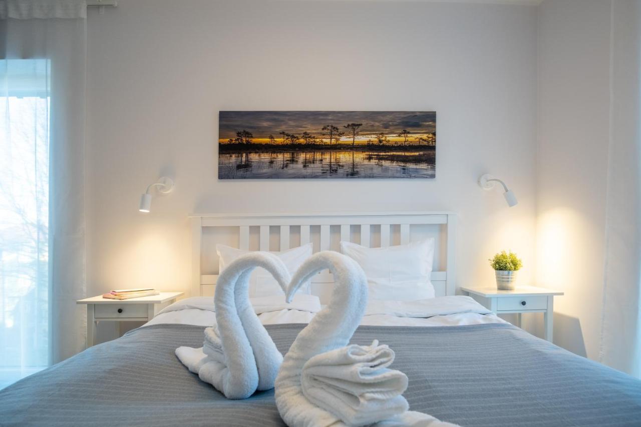Dream Stay - Brand New Apartment With Balcony & Free Parking 塔林 外观 照片